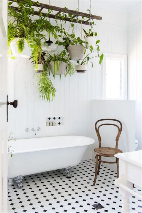 浴室植物設計